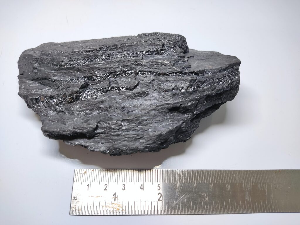Coal size Kalimantan